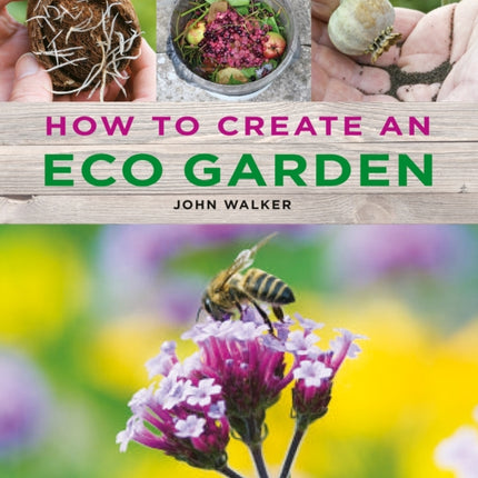 How to Create an Eco Garden: The practical guide to sustainable and greener gardening