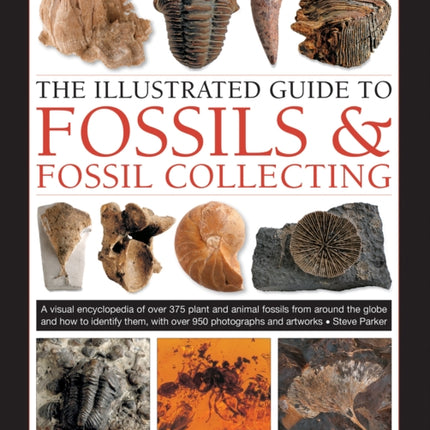 Fossils & Fossil Collecting, The Illustrated Guide to: A reference guide to over 375 plant and animal fossils from around the globe and how to identify them, with over 950 photographs and artworks