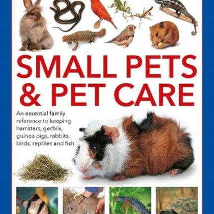 Small Pets and Pet Care, The Complete Practical Guide to: An essential family reference to keeping hamsters, gerbils, guinea pigs, rabbits, birds, reptiles and fish