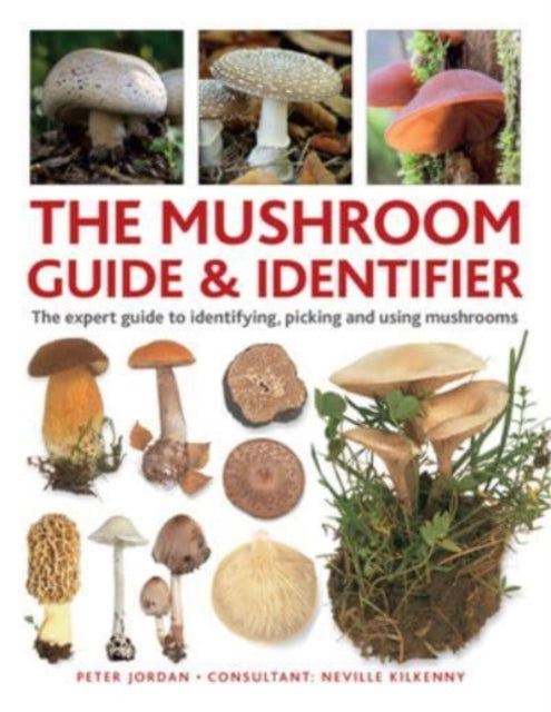 The Mushroom Guide & Identifer: An expert manual for identifying, picking and using edible wild mushrooms found in the British Isles