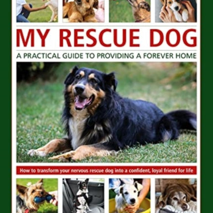 My Rescue Dog: A practical guide to providing a forever home: How to understand and transform your nervous rescue dog into a happy, confident, loyal friend for life; Expert advice on nurturing trust, obedience training, socialising, health