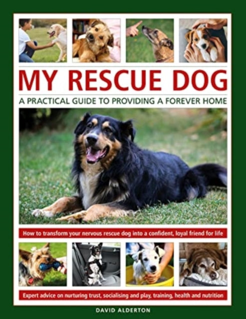 My Rescue Dog: A practical guide to providing a forever home: How to understand and transform your nervous rescue dog into a happy, confident, loyal friend for life; Expert advice on nurturing trust, obedience training, socialising, health