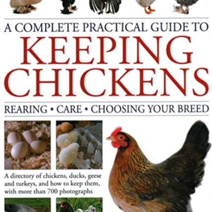 Keeping Chickens, Complete Practical Guide to: Rearing; Care; Choosing Your Breed: A directory of chickens, ducks, geese and turkeys, and how to keep them, with over 700 photographs