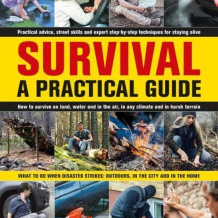 Survival: A Practical Guide: What to do when disaster strikes: outdoors, in the city and in the home