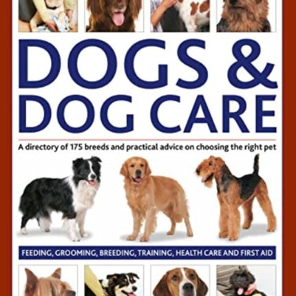 Dogs & Dog Care: A directory of 175 breeds and practical advice on choosing the right pet. Feeding, grooming, breeding, training, health care and first aid