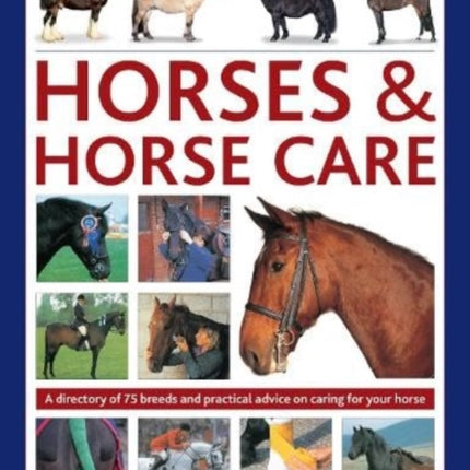 Horses & Horse Care: A directory of 75 breeds and practical advice on caring for your horse