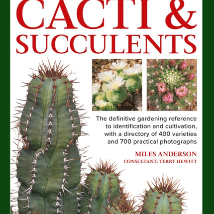 Cacti  Succulents How to Choose and Care for