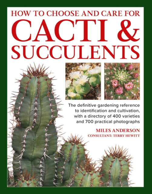 Cacti  Succulents How to Choose and Care for