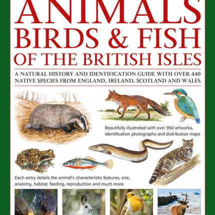 The Animals Birds  Fish of the British Isles Complete Illustrated Guide to