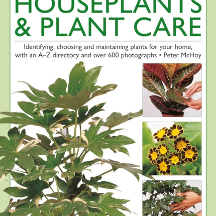 The  Illustrated Practical Guide to Houseplants  Plant Care