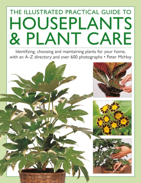The  Illustrated Practical Guide to Houseplants  Plant Care