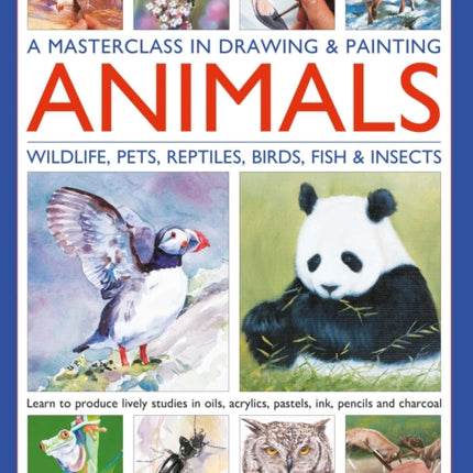 A Masterclass in Drawing  Painting Animals Wildlife Pets Reptiles Birds Fish  Insects