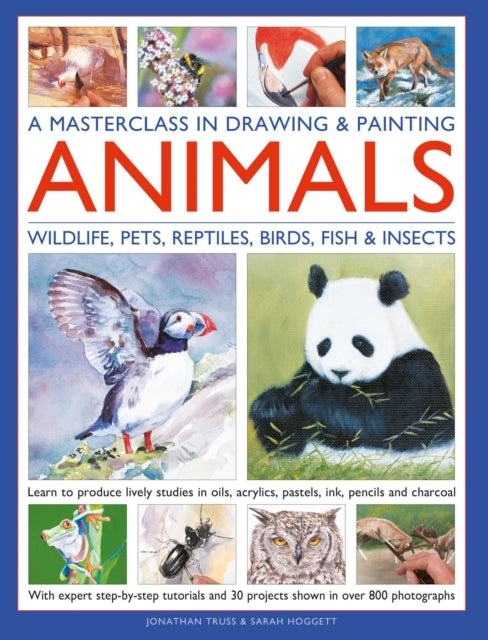 A Masterclass in Drawing  Painting Animals Wildlife Pets Reptiles Birds Fish  Insects