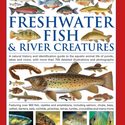 The Complete Illustrated World Guide to Freshwater Fish and River Creatures
