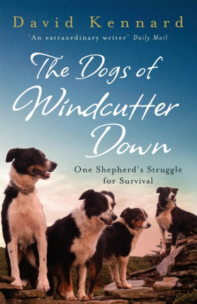 The Dogs Of Windcutter Down One Shepherds