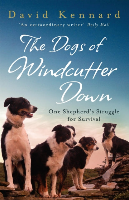 The Dogs Of Windcutter Down One Shepherds