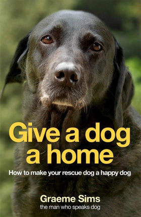 Give a Dog a Home How to Make Your Rescue Dog a