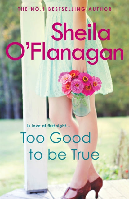 Too Good To Be True: A feel-good read of romance and adventure