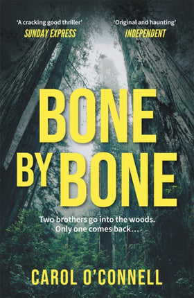 Bone by Bone: a gripping who-dunnit with a twist you don't see coming