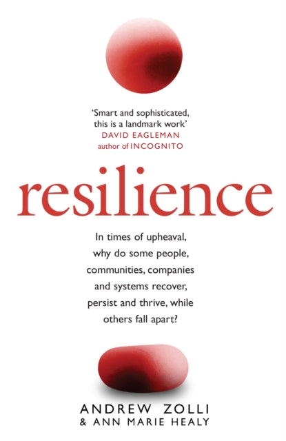 Resilience: Why Things Bounce Back