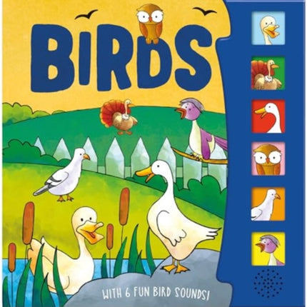 Birds