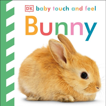 Baby Touch and Feel: Bunny