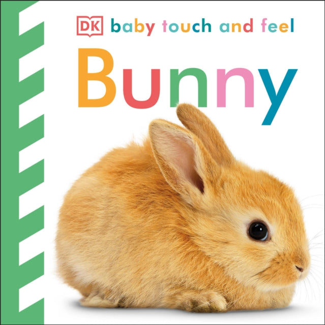 Baby Touch and Feel: Bunny