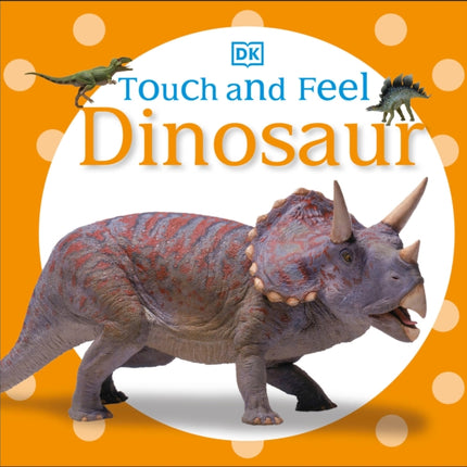 Touch and Feel: Dinosaur