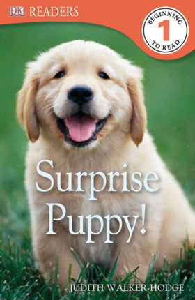 DK Readers L1: Surprise Puppy