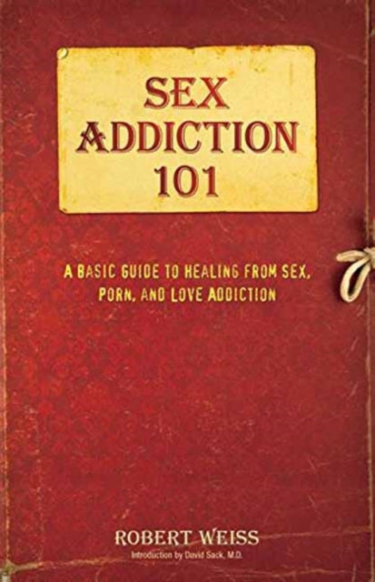 Sex Addiction 101 A Basic Guide to Healing from Sex Porn and Love Addiction