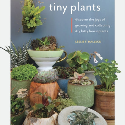 Tiny Plants: Discover the joys of growing and collecting itty-bitty houseplants