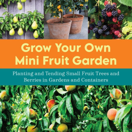 Grow Your Own Mini Fruit Garden Planting and