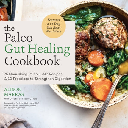 The Paleo Gut Healing Cookbook