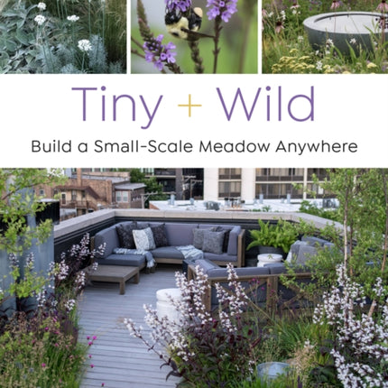 Tiny and Wild: Build a Small-Scale Meadow Anywhere