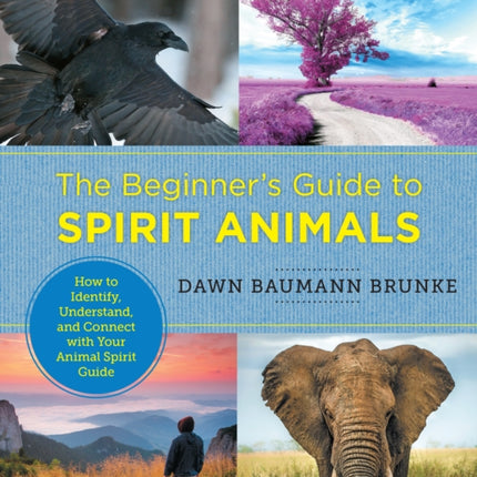 The Beginners Guide to Spirit Animals