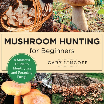 Mushroom Hunting for Beginners: A Starter's Guide to Identifying and Foraging Fungi