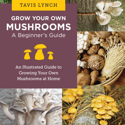 Grow Your Own Mushrooms A Beginners Guide