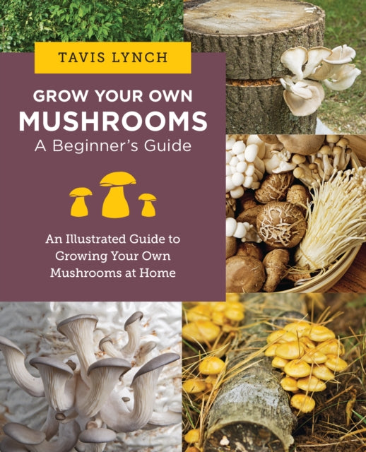 Grow Your Own Mushrooms A Beginners Guide