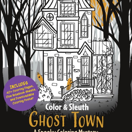 Color  Solve Ghost Town