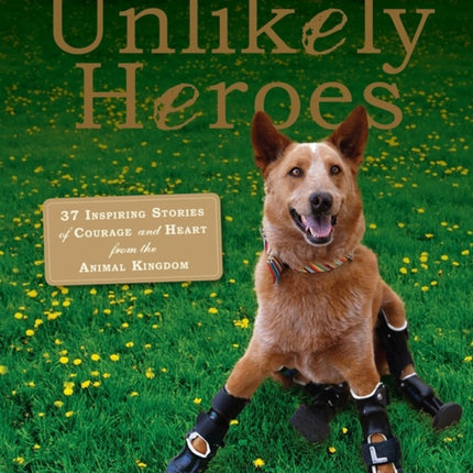 Unlikely Heroes: 37 Inspiring Stories of Courage and Heart from the Animal Kingdom