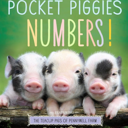 Pocket Piggies Numbers!: Featuring the Teacup Pigs of Pennywell Farm