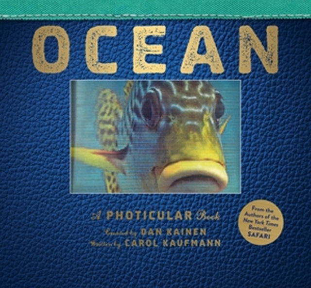 Ocean: A Photicular Book