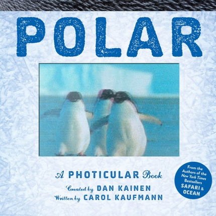 Polar: A Photicular Book