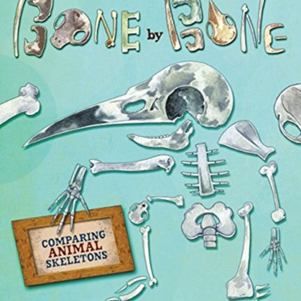 Bone By Bone: Comparing Animal Skeletons