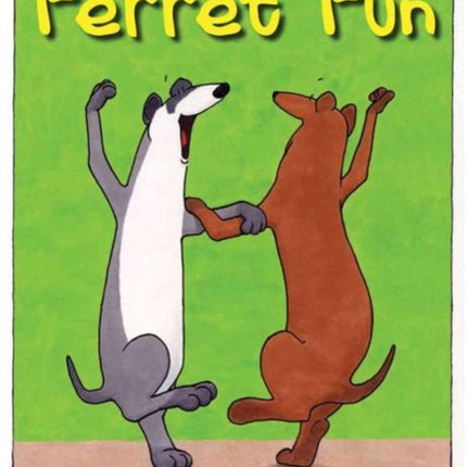 Ferret Fun