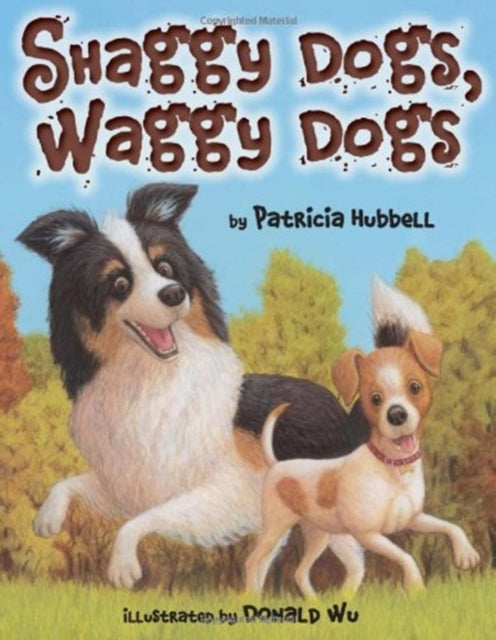 Shaggy Dogs Waggy Dogs