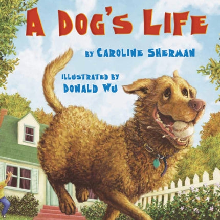 A Dogs Life