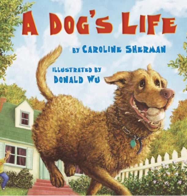 A Dogs Life