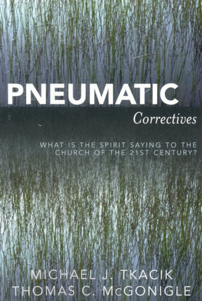 pneunaticcorrectives