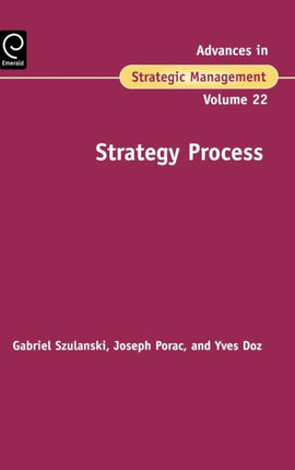 Strategy Process